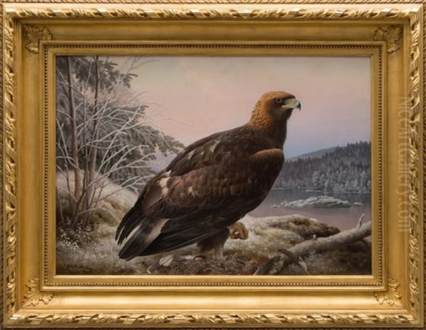Eagle - view 1
