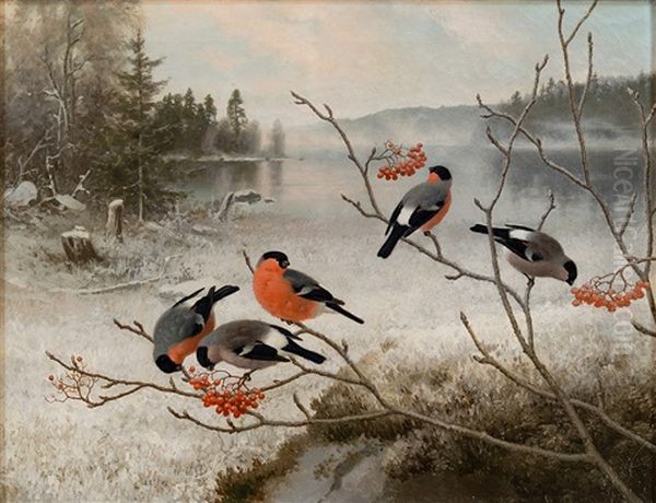 Bullfinches In Winter Landscape - view 1