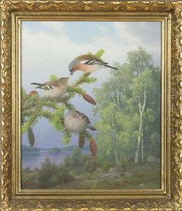 Chaffinchs by Ferdinand von Wright