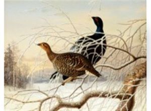 Wood Grouse Couple by Ferdinand von Wright