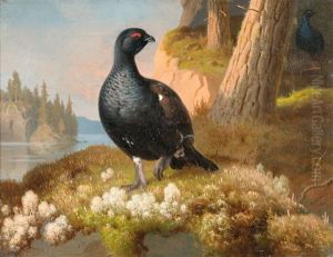 Black Grouses by Ferdinand von Wright