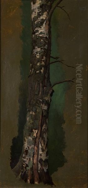 Birch Trunk - view 1