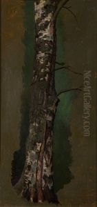 Birch Trunk by Ferdinand von Wright