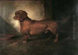 A Dachshund by George Frederick Wright