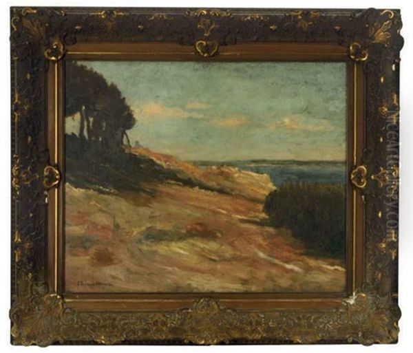 Dunes By The Water - view 1
