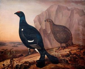 Black Grouses by Magnus Von Wright