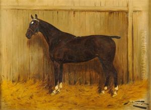 Cheval Dans L'ecurie Cheval Dans L'ecurie
