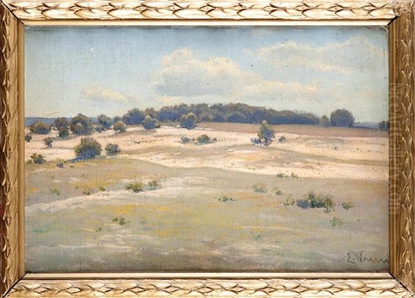 Pejzaz Z Polesia - view 1