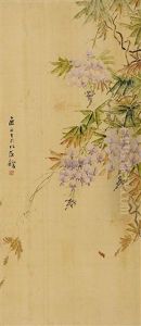 Wisteria