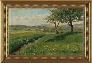 Fruhling - Motiv Bei Kronberg Fruhling - Motiv Bei Kronberg