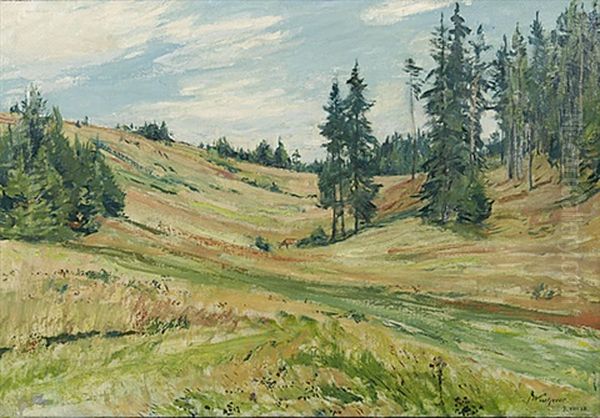 Im Schwarzwald Bei Villingen - view 1