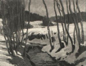 Blick Auf Den Feuerbach Im Schnee