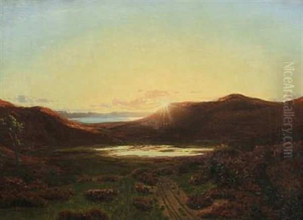 Heath Landscape, Sunset - view 1