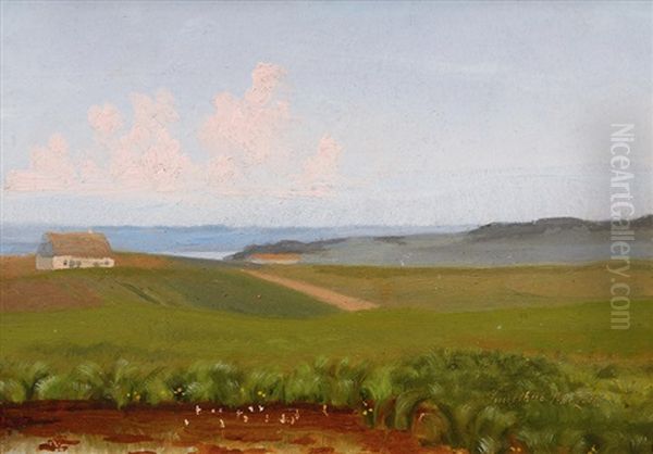 Thatched House At The Coast - view 1