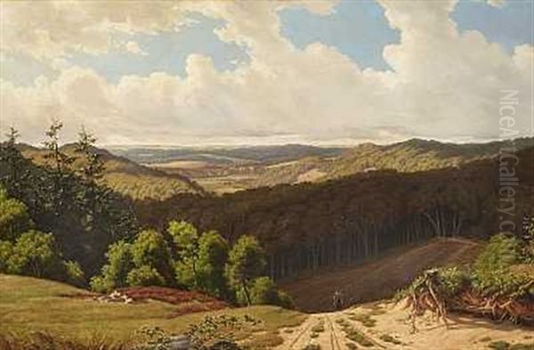 Jysk, Bakket Landskab - view 1