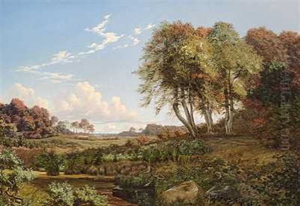 Parti Ved Ordrup - view 1