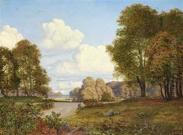 Parti Fra Jaegersborg - view 1