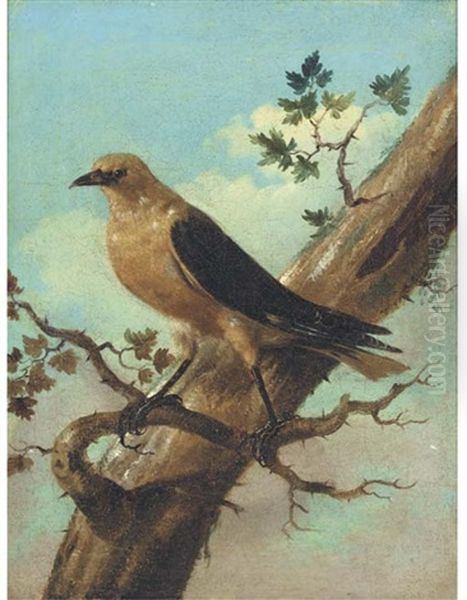 Bird On A Branch (+ Another; Pair) - view 1
