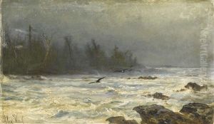 Meereskuste by Alexander Ferdinand Wust