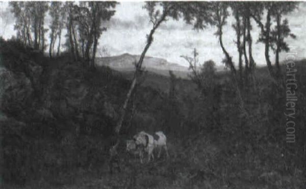 Ox Drawn Canon In The Woods - view 1