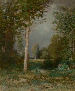 A Forest Glade A Forest Glade
