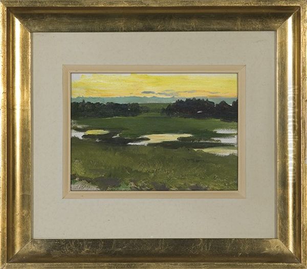 Landscape After Sunset - view 1
