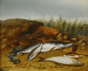 Stilleben Mit Fischen Und Froschen In Strandlandschaft