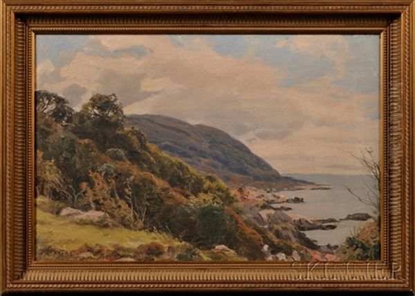 Hills And Coast - view 1