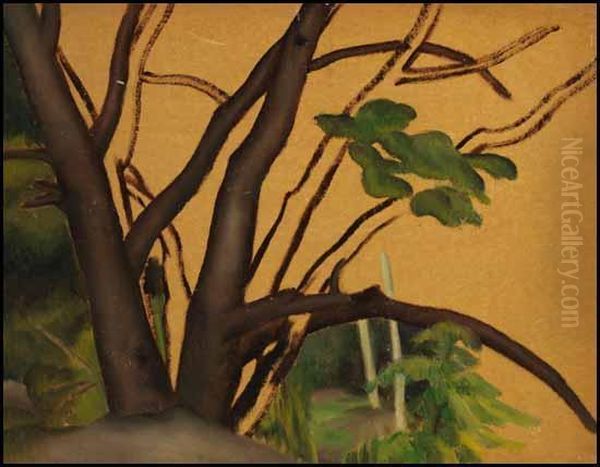 Group Of Trees - view 1