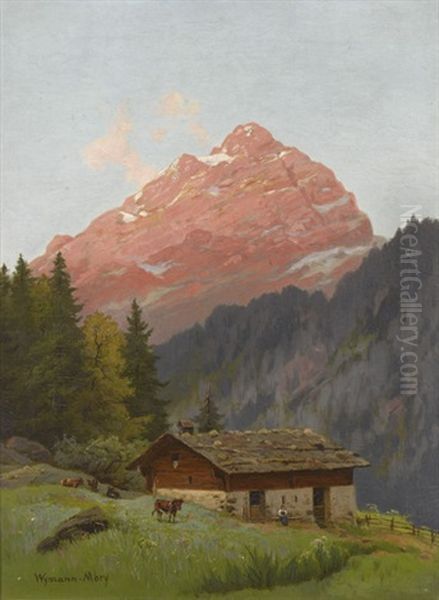 Sommerliche Alp Mit Berggipfel Im Abendrot - view 1