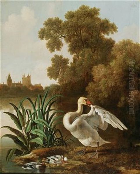 A Swan And Ducks At A River - view 1