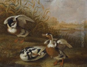 A Shelduck In A Landscape (2 Works) A Shelduck In A Landscape (2 Works)