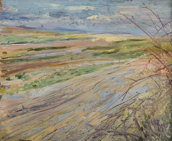 Landscape - Fields - view 1