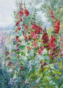 Roses Tremieres