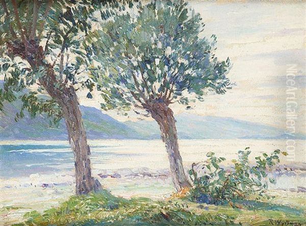 Les Saules Tetards Au Bord Du Lac Du Bourget - view 1