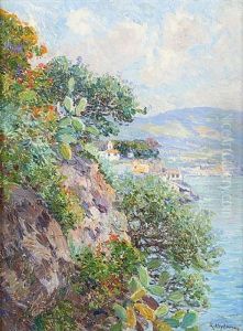 Rocher Fleuri A Funchal Madere Janvier 1914