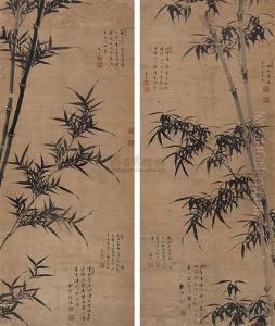 Bamboo