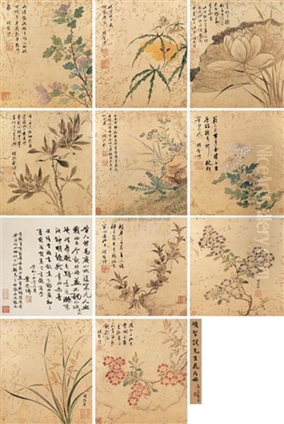 Flowers - view 1