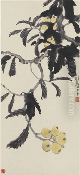 Loquat - view 1