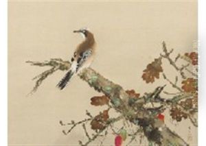 Kashidori Kashidori