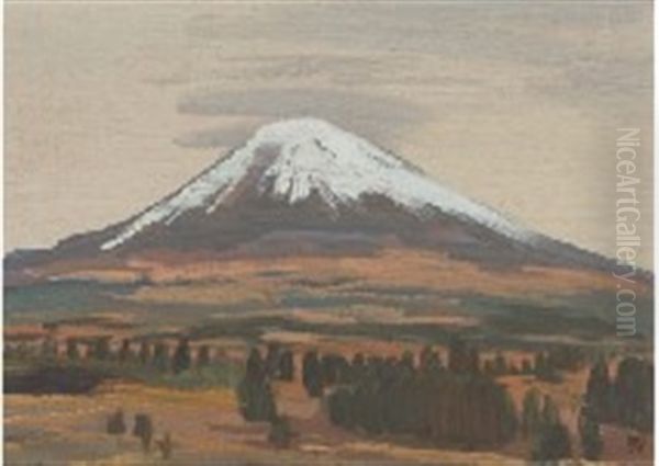Mt.fuji - view 1