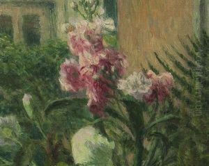 Flower By The Window