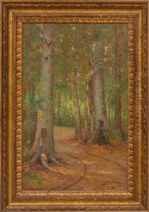 Forest Path Forest Path