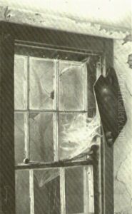 The Artist's Window