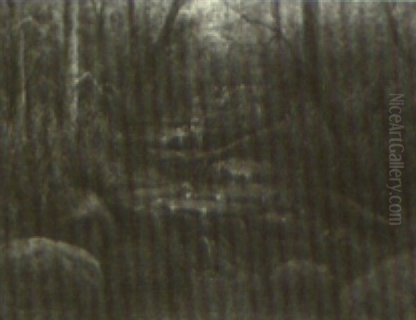 Brook In The Woods - view 1