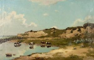 Vaches En Frise Du Nord
