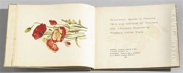 Brush-work Studies Of Flowers, Fruit And Animals - view 1
