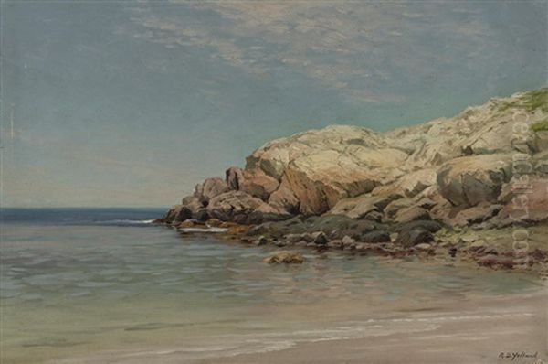 Coastal Rocks - view 1