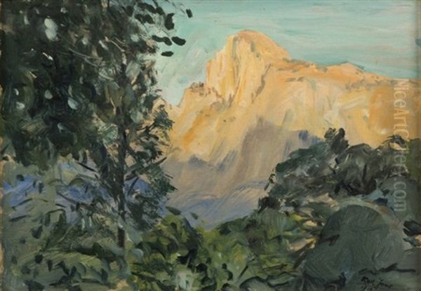 Mountain Shrubs - view 1
