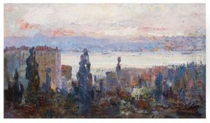 Halic'e Bakis by Sami Yetik